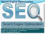 Search Engine Optimization Service|AppNET Group Nagpur