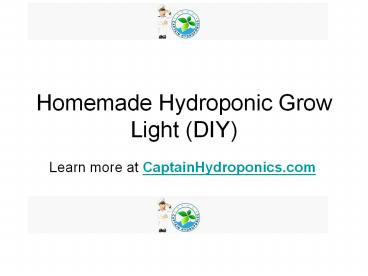 Homemade hydroponic grow light