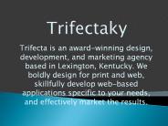 Web design lexington