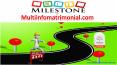Tamil Matrimony Success Mile stone PowerPoint PPT Presentation