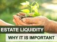 Estate Liquidity: Why Is It Important PowerPoint PPT Presentation