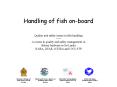 Handling of fish on-board PowerPoint PPT Presentation