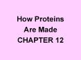 How Proteins PowerPoint PPT Presentation