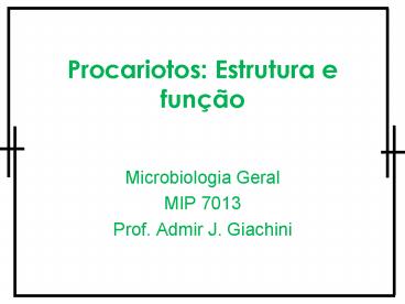 Procariotos: Estrutura e fun