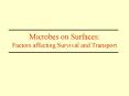 Microbes on Surfaces: Factors affecting Survival and Transport PowerPoint PPT Presentation