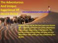The Adventurous And Unique Experience Of Dubai Desert PowerPoint PPT Presentation
