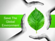 Save The Global Environment