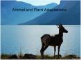 Animal and Plant Adaptations PowerPoint PPT Presentation
