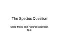 The Species Question PowerPoint PPT Presentation