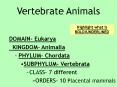 Vertebrate Animals PowerPoint PPT Presentation