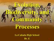 Evolution, Biodiversity, and Community Processes