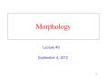 Morphology PowerPoint PPT Presentation