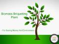 Biomass Briquetting Plant - For Saving Money & Environment PowerPoint PPT Presentation