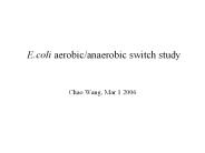 E.coli aerobic/anaerobic switch study