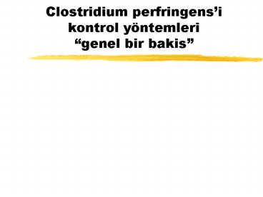 Clostridium perfringens