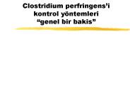 Clostridium perfringens