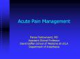 Acute Pain Management  Parisa Partownavid, MD Assistant Clinical Professor David Geffen School of Medicine at UCLA Department of Anesthesia PowerPoint PPT Presentation