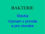 BAKTERIE