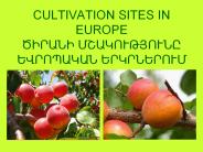 CULTIVATION SITES IN EUROPE ?????? ???????????? ????????? ??????????