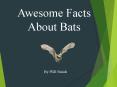 Awesome Facts About Bats PowerPoint PPT Presentation