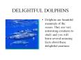 DELIGHTFUL DOLPHINS PowerPoint PPT Presentation