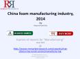 China Foam Manufacturing Industry 2014 PowerPoint PPT Presentation