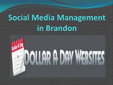 Website Design Brandon MS