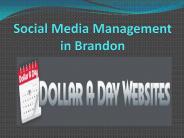 Website Design Brandon MS