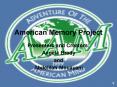 American Memory Project PowerPoint PPT Presentation