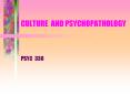 CULTURE AND PSYCHOPATHOLOGY PowerPoint PPT Presentation