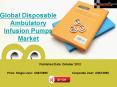 Global Disposable Ambulatory Infusion Pumps Market- Analysis & Forecast to 2017 PowerPoint PPT Presentation