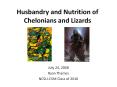 Husbandry and Nutrition of Chelonians and Lizards PowerPoint PPT Presentation
