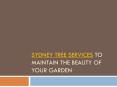 Sydney tree services to maintain your garden's beauty PowerPoint PPT Presentation