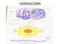 HEMOGLOBIN PowerPoint PPT Presentation