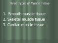 Three Types of Muscle Tissue PowerPoint PPT Presentation