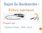 fibre optique