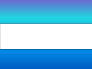 CELESTIAL-COMPANY PROFILE