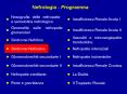 Sindrome  Nefrosica PowerPoint PPT Presentation