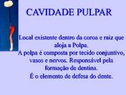 ANATOMIA INTERNA