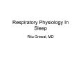 Respiratory Physiology In Sleep PowerPoint PPT Presentation