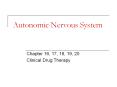Autonomic Nervous System PowerPoint PPT Presentation