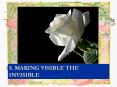 MAKING VISIBLE THE INVISIBLE PowerPoint PPT Presentation