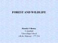 FOREST AND WILDLIFE PowerPoint PPT Presentation