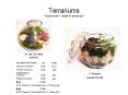 Terrariums *must book 1 week in advance* PowerPoint PPT Presentation