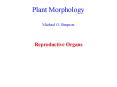 Plant Morphology Michael G. Simpson PowerPoint PPT Presentation