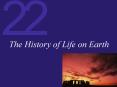 The History of Life on Earth PowerPoint PPT Presentation