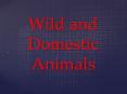 Wild and Domestic Animals PowerPoint PPT Presentation