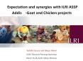 Expectation and synergies with ILRI ASSP Addis  -Goat and Chicken projects PowerPoint PPT Presentation