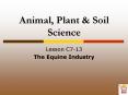 Animal, Plant PowerPoint PPT Presentation