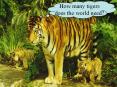 How many tigers does the world need? PowerPoint PPT Presentation